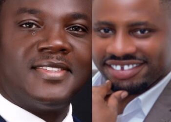 Article: Powering Ghana’s Future; Why Concessions, Not the Sale of ECG, Hold the Key to Energy Reform