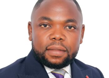 The Council of State Under the 1992 Constitution of Ghana: A Flawed System in Need of Review and Amendment