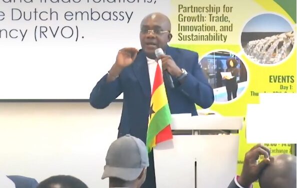 Ghana is Fertile Investment Destination – Orleans-Lindsay woos Dutch Investors