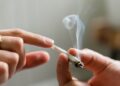 Obstetricians and Gynaecologists Group Advises against Cannabis Use During Pregnancy