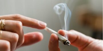 Obstetricians and Gynaecologists Group Advises against Cannabis Use During Pregnancy