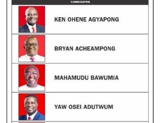 NPP Presidential balloting