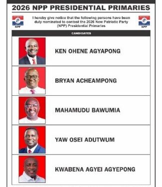 NPP Presidential balloting