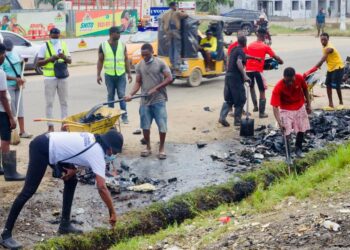 Zoomlion sanitation nationwide