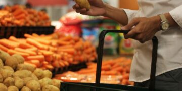 South Africa agricultural