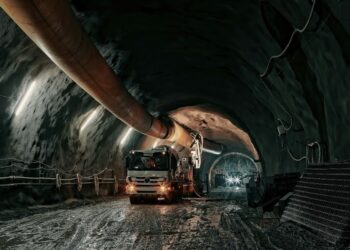 Australian gold Skylark