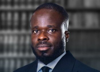 Constitutional parliamentary power