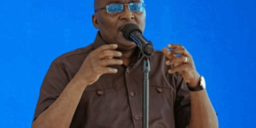 Bawumia NPP