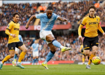 Manchester City Wolvesl