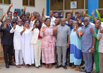 118 NPP Parliamentary Candidates Declare Support for Bawumia