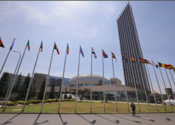 African Union UAE
