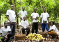 Cocoa farmers