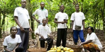 Cocoa farmers