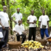 Cocoa farmers