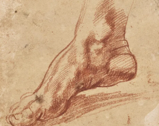 Tiny Michelangelo sketch