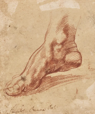 Tiny Michelangelo sketch