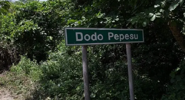 Dodo Pepesu–Nkwanta road