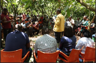 Minority cocoa farmers