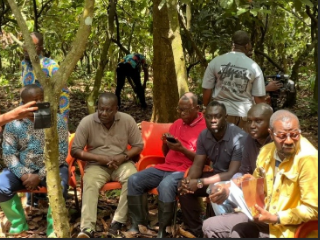 Minority cocoa farmers