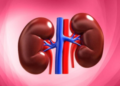 Ghanaians kidney disease