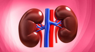 Ghanaians kidney disease