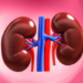 Ghanaians kidney disease