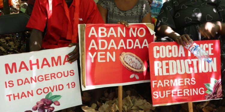 Cocoa farmers Mahama