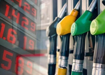 Government fuel prices