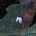 AI job apocalypse