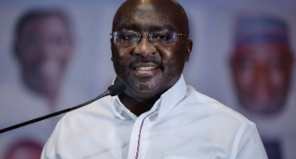 Bawumia NPP youth