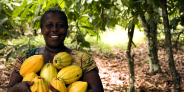 Nigeria’s cocoa