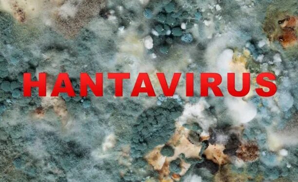 Hantavirus