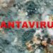 Hantavirus