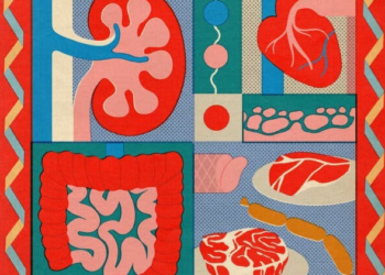 health protein