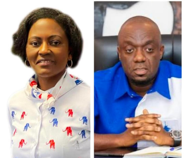 NPP-USA elections