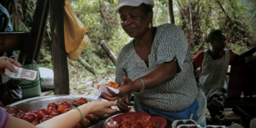 Mozambique’s inflation