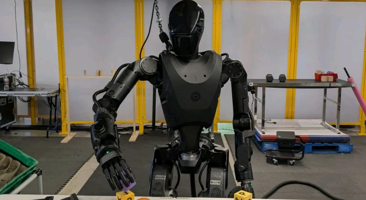 robots