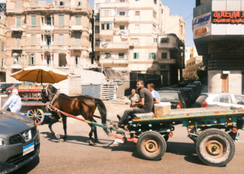 Egypt’s