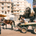 Egypt’s