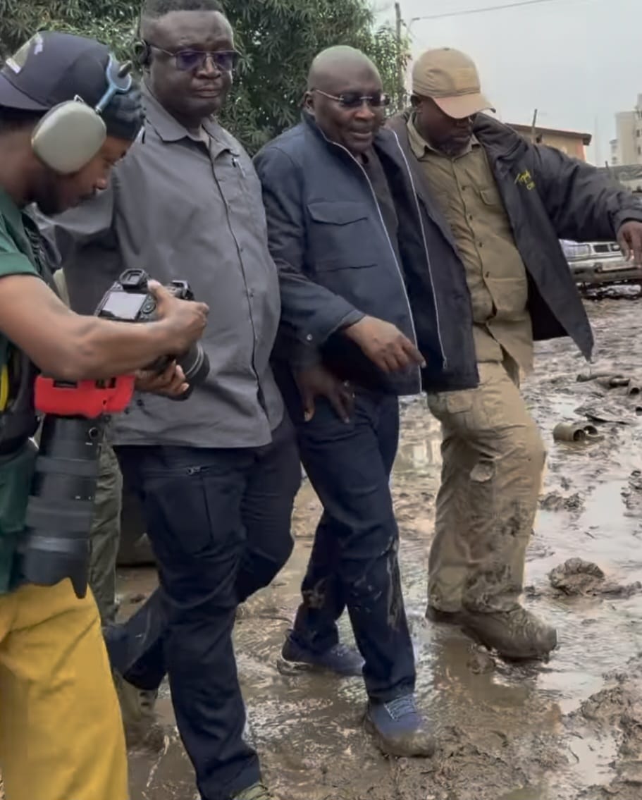 floods Bawumia